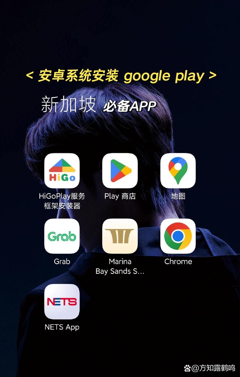 谷歌官网在哪下载,谷歌商店官网在哪下载