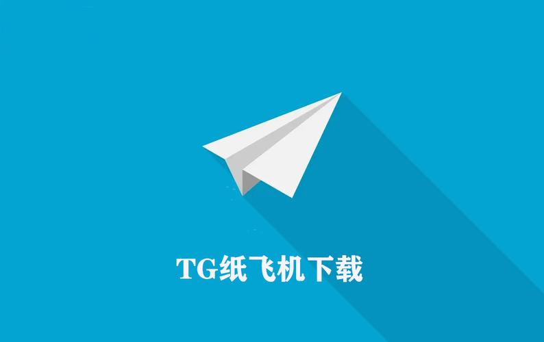 纸飞机网站怎么登上去,纸飞机app在国内怎么登录