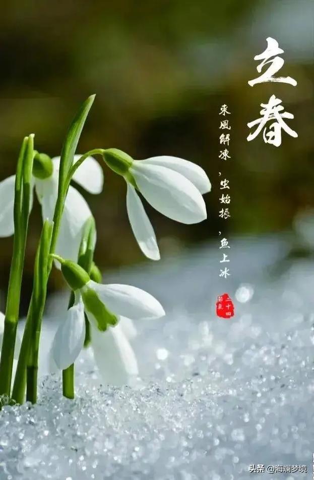 立春最准确一个数字,立春打一生肖或一数字