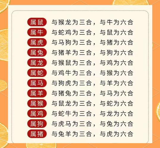今期生肖一三开最佳答案:今期生肖开三门是什么意思