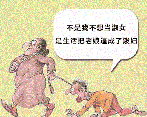 泼妇叫什么打一生肖的简单介绍