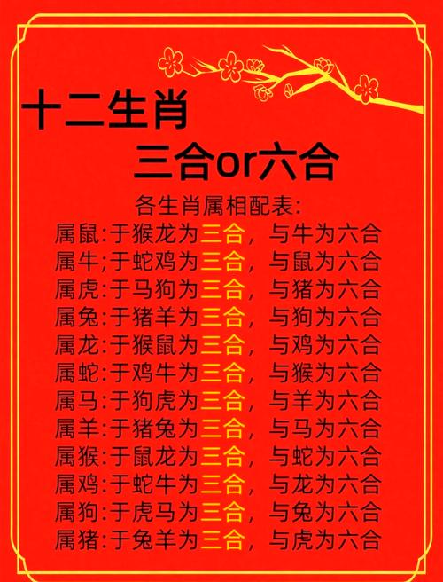 三四今期九得利猜生肖:三四今期九得利是什么意思