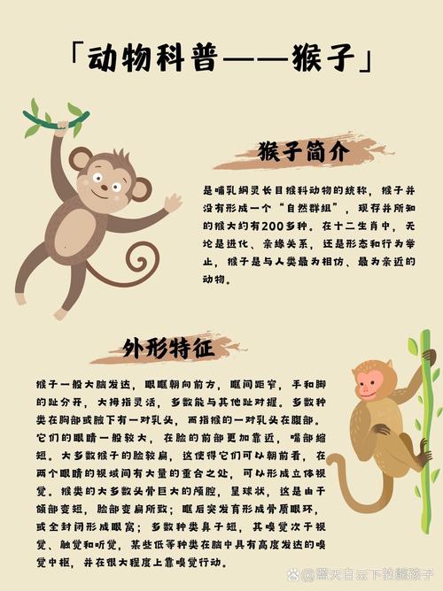今期生肖牛猴来开的动物:今期生肖猴来开解什么动物