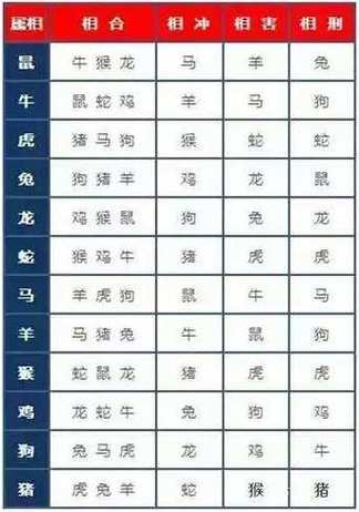 鼠配什么生肖最好婚姻幸福呢:鼠配什么生肖最好婚姻幸福呢女