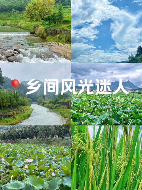 大地风光打一生肖:赞美诗歌大地风光歌