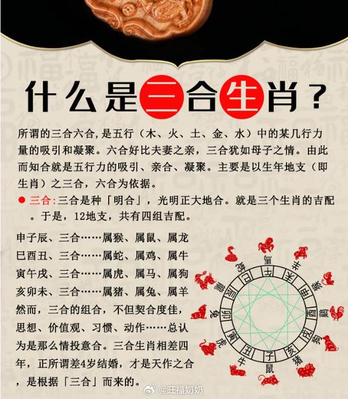 “四海为家”代表什么生肖:四海为家代表什么生肖生肖有牛羊饲料可以