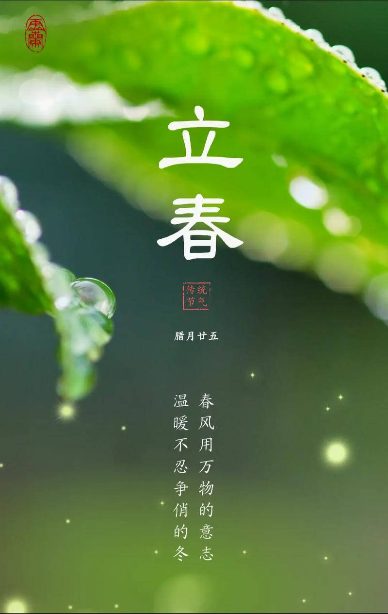 立春是特马打一个生肖:立春是特马打一个生肖是什么