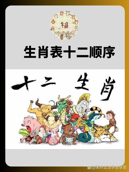 今期生肖各不同代表什么生肖动物:今期生肖各不同代表什么生肖动物和数字