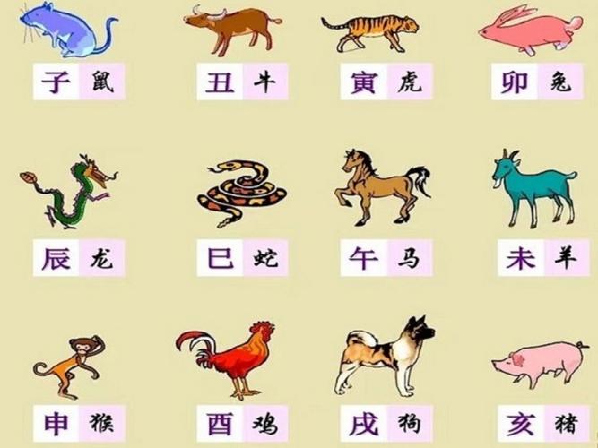 什么生肖是水肖动物:十二生肖中水肖是什么生肖
