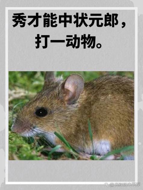 关于“花开回春又一年，东行不见西行利”打一动物生肖的信息