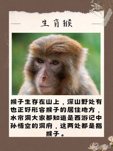 山打一生肖动物:山打一个动物名字