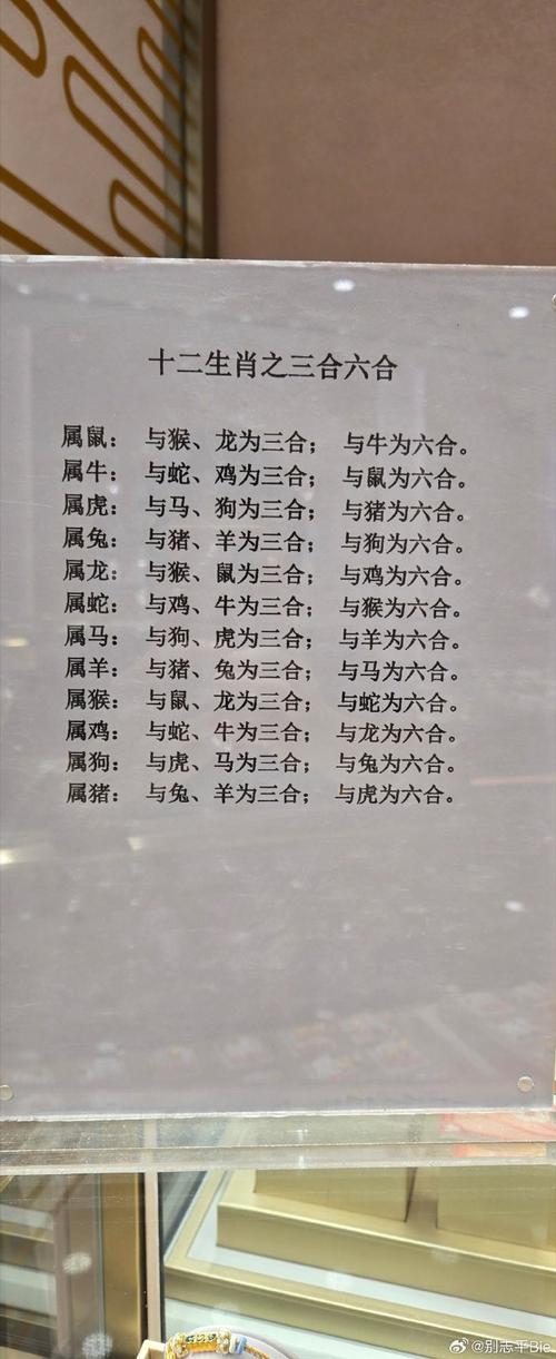 今期生肖6合最佳答案:今期生肖最好查打一数字