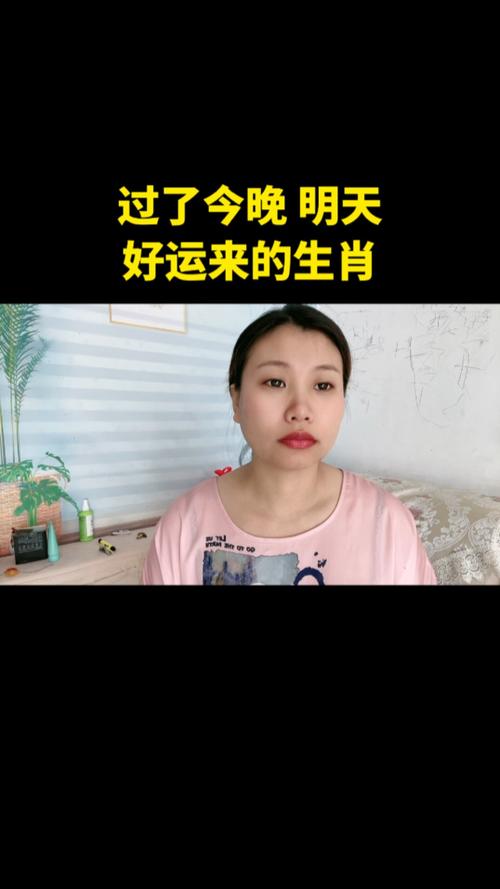 什么生肖最笨的:今晚出什么生肖最准确