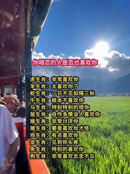 后来有你打一生肖:后来后来有个人爱你很久什么歌