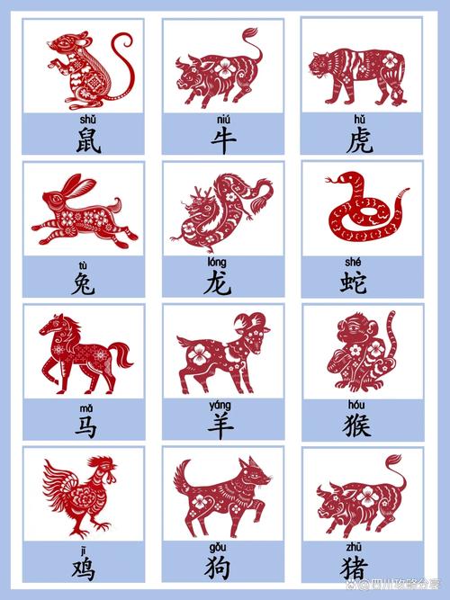 今期生肖有精神打:十二生肖有精神的动物