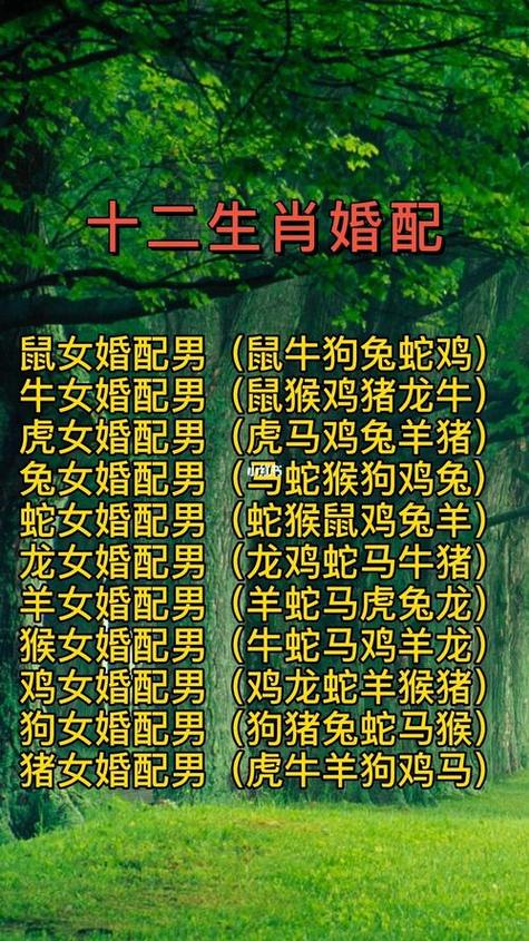 龙和什么生肖最配做夫妻的简单介绍