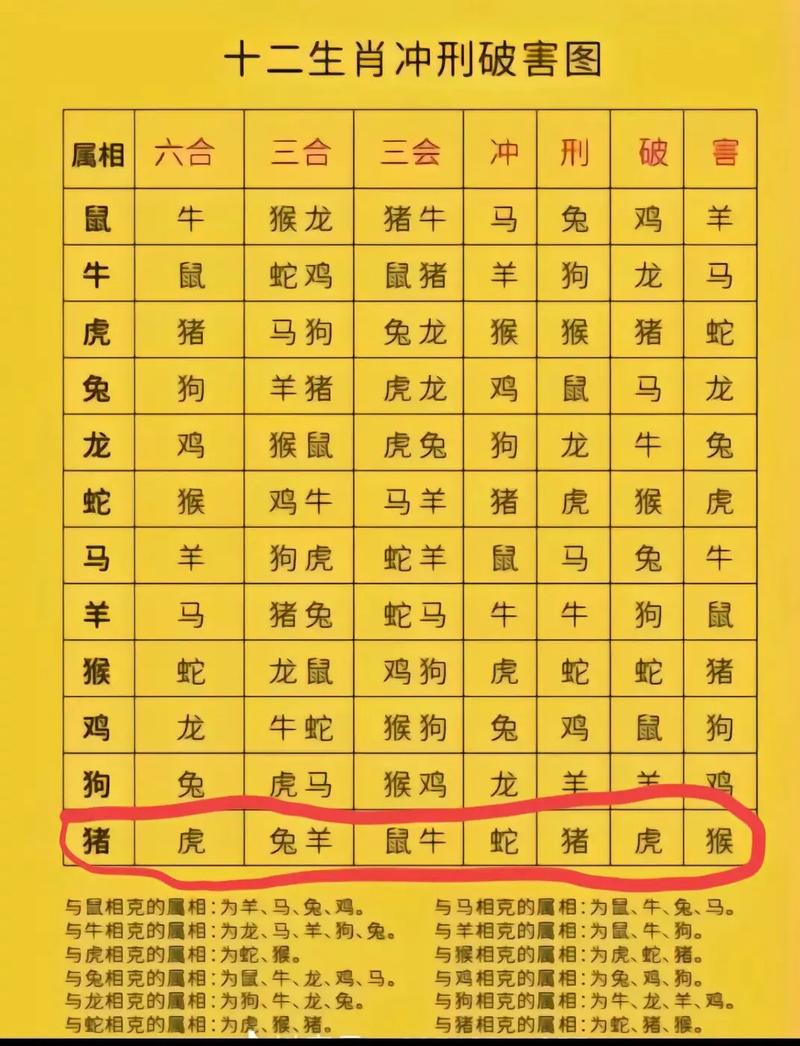 猪和蛇什么生肖最配对:猪和蛇什么生肖最配对呢