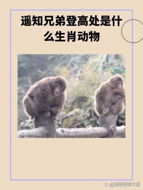 蓝绿指的哪个生肖动物:蓝绿指的哪个生肖动物图片