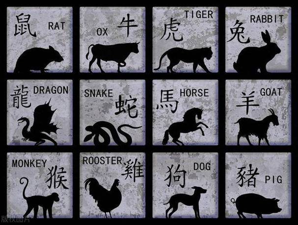 朋友打一生肖动物:朋友打一数字或一生肖