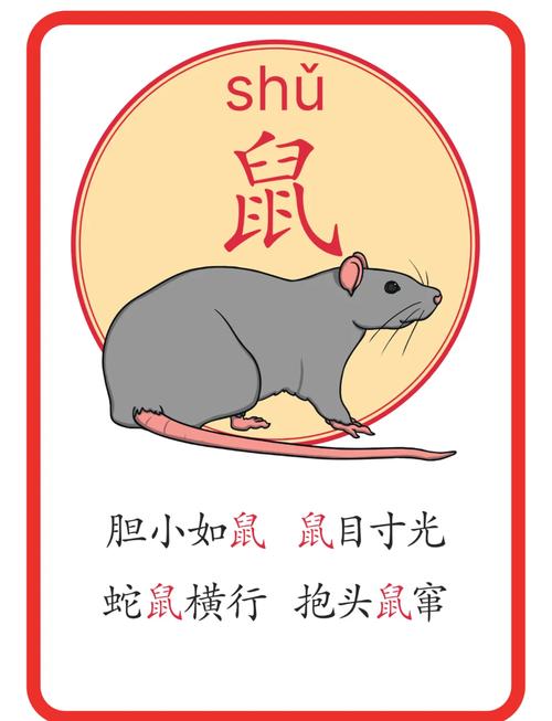 今期生肖找管家正确数字:今期生肖找管家老鼠过街人人打