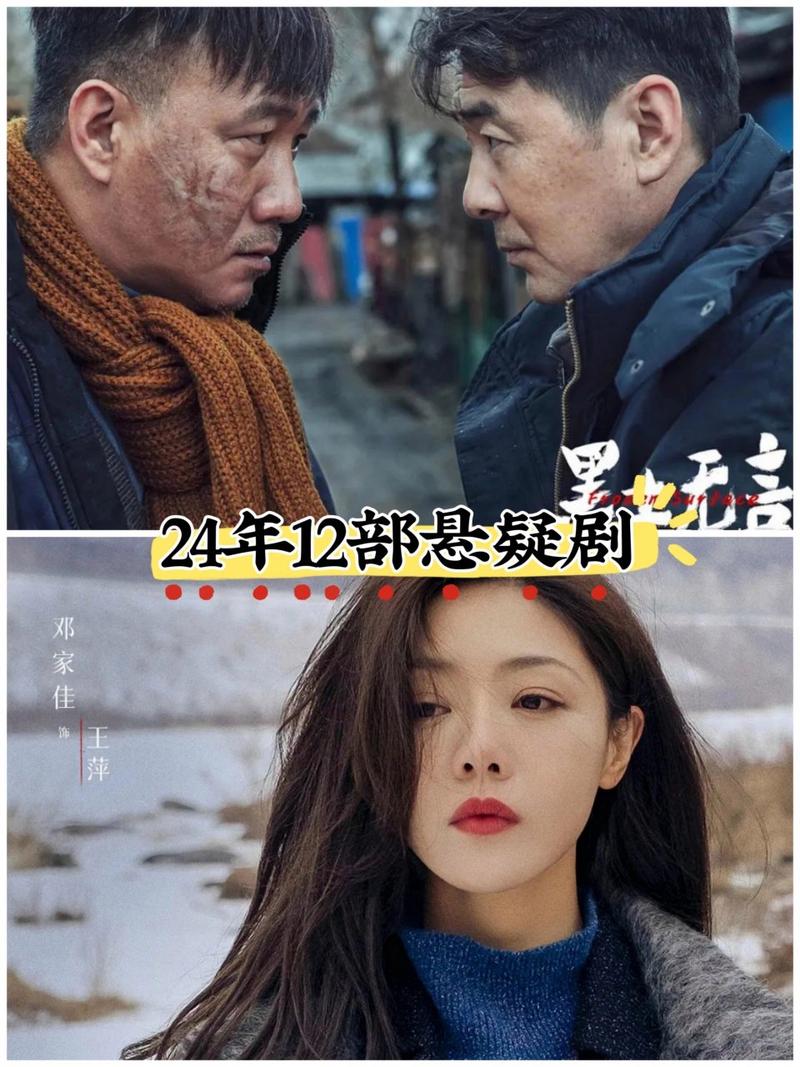 2024最新刑侦破案剧:2024最新刑侦破案剧黑土无言