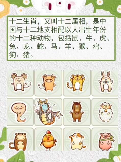今期生肖南方找是什么生肖:今期生肖在北方的动物是什么