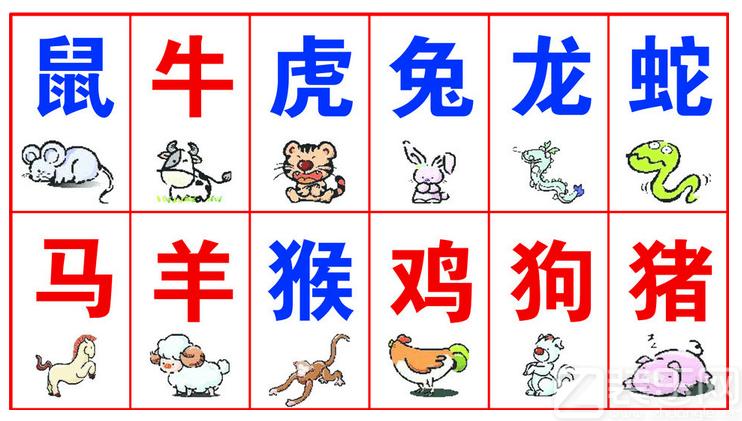 今期生肖什么冲什么:今期什么生肖冲什么生肖