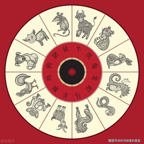 红花代表什么生肖的图片:十二生肖中红花代表什么生肖