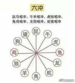 什么生肖互斗:什么生肖会相互争斗