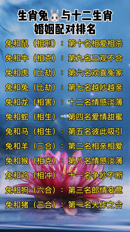 免生肖配什么生肖最好的:免生肖配什么生肖最好的呢