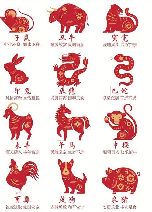 今期生肖在北边是什么生肖啊:今期生肖在北边一前九后开一码什么生肖