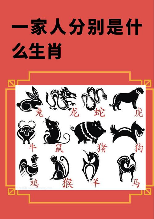 今期生肖变化大最佳答案:今期生肖要分清是什么生肖