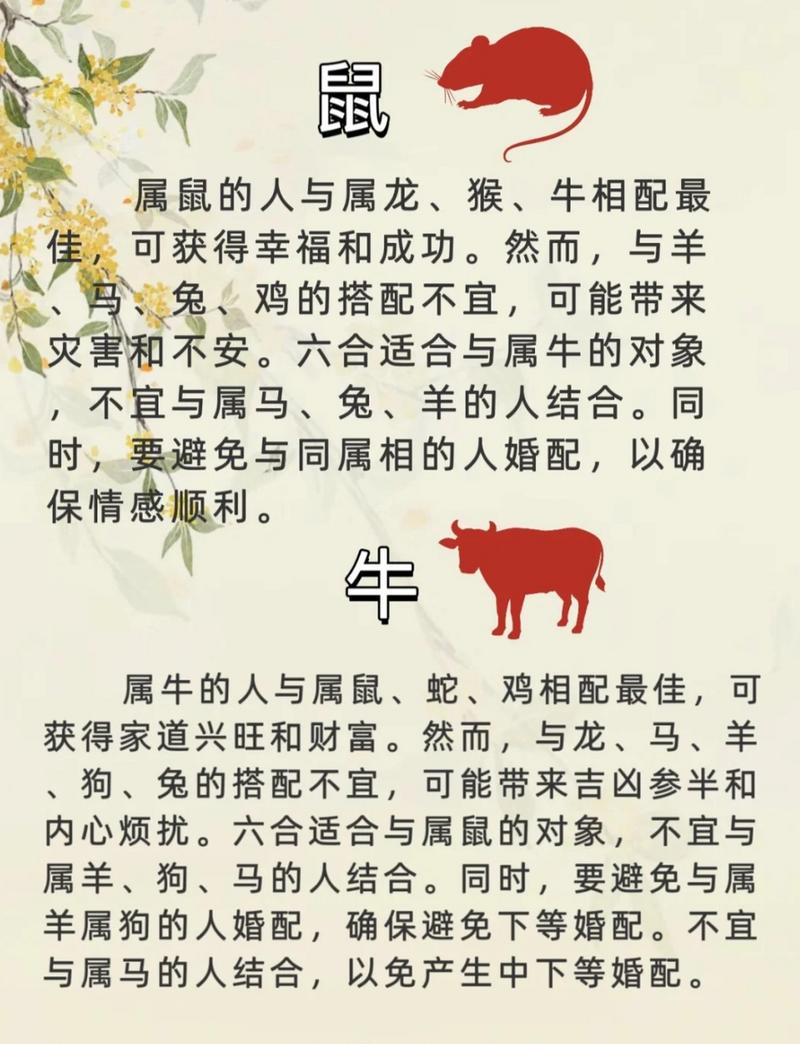 鼠和什么生肖相配:狗与什么生肖相配最好