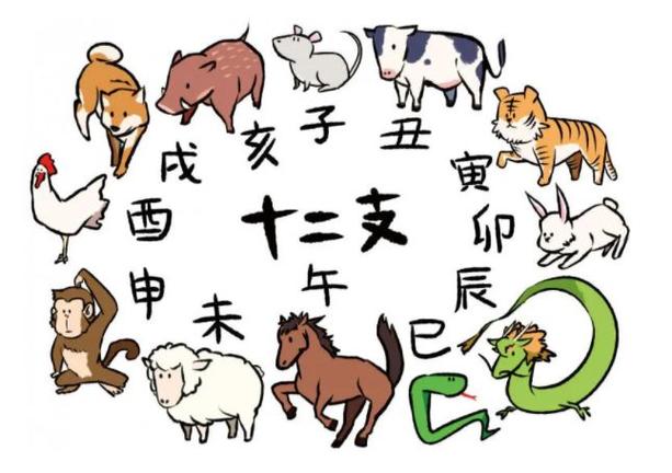 送今期开春天的生肖是什么:送今期开春天的生肖是什么动物