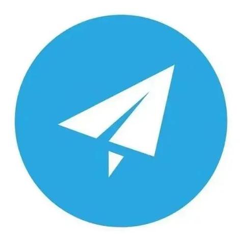 纸飞机官网入口twitter:纸飞机官网入口twitter下载