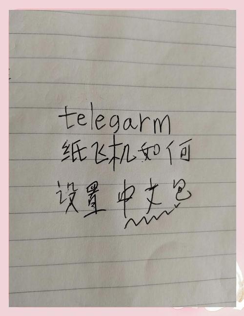 纸飞机怎么更改为中文:纸飞机怎么更改中文字体