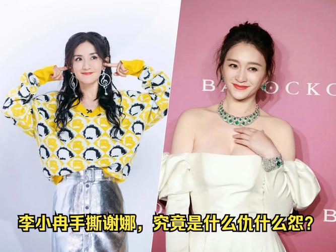谢娜暖心回复李小冉发文:谢娜暖心回复李小冉发文了吗