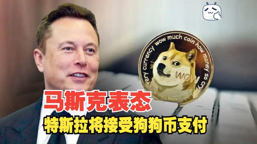 狗狗币创始人马斯克:马斯克提醒狗狗币有风险