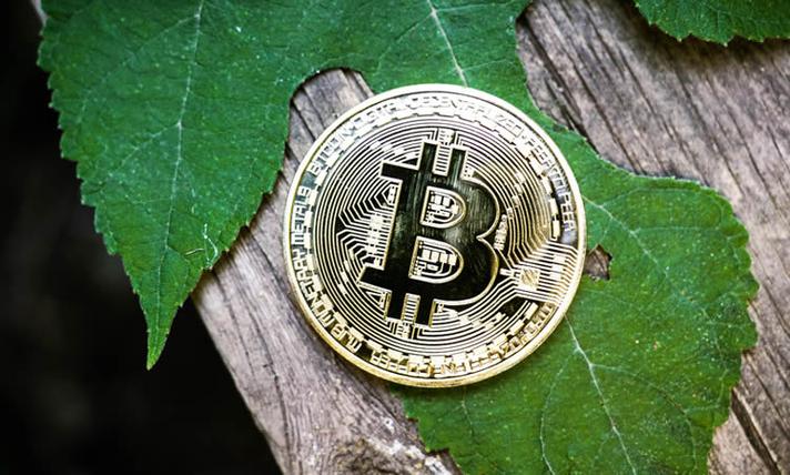 XAG瑞波基因币暴涨原因的简单介绍
