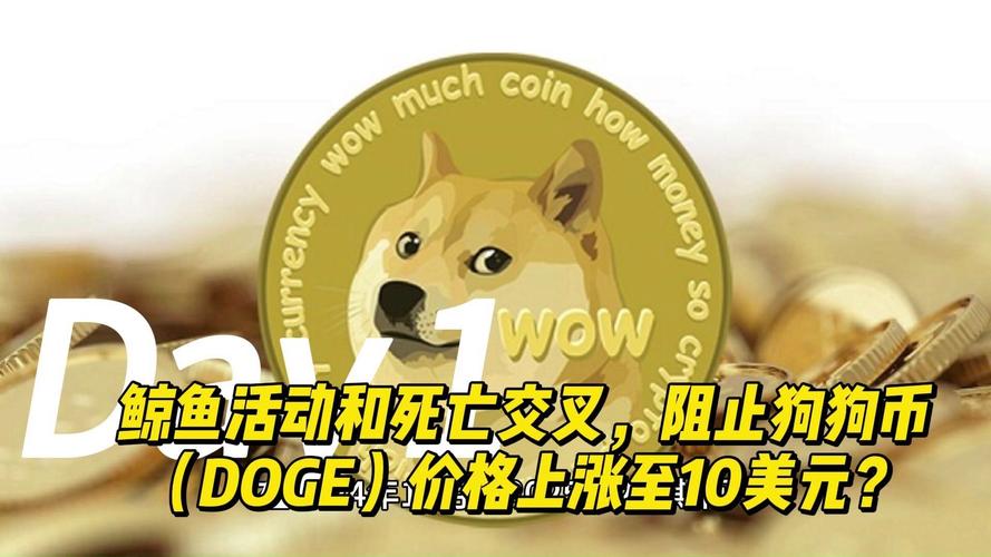 狗狗币多少钱一个:狗狗币多少钱一个最新