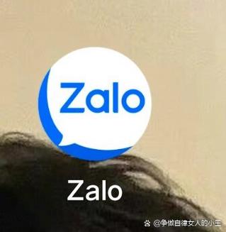 zalovietnam官方下载:zalovietnam1953