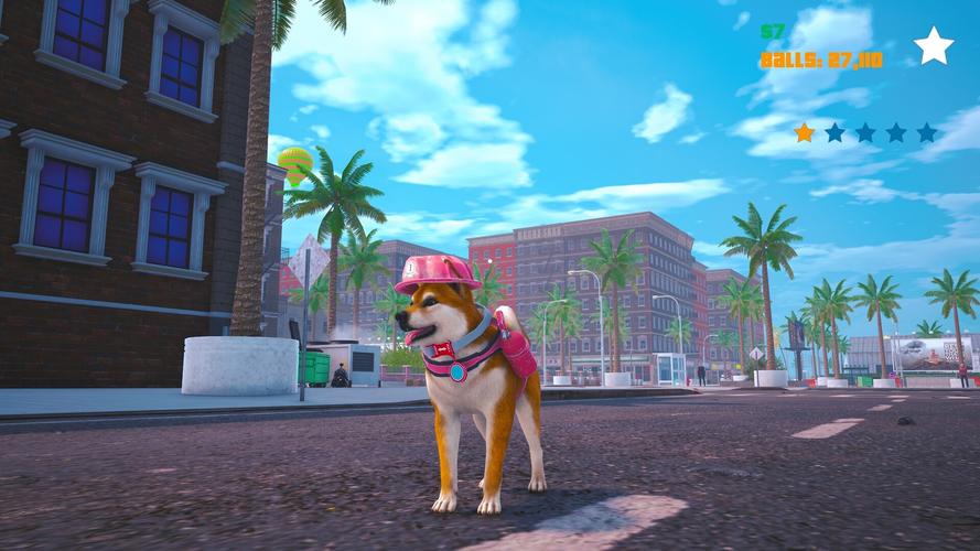 DOGEking下载:dogeminer安卓