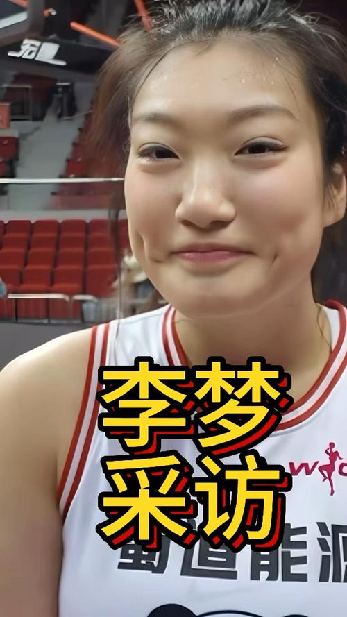 李梦圆:李梦圆申论