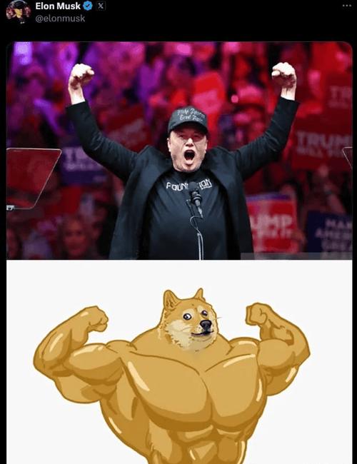 Doge币即将暴涨:doge币2021年能涨到多少