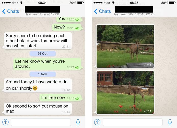 whatsapp接收信息延迟:whatsapp收不到信息怎么办