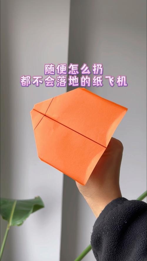 纸飞机苹果版有些群组进不去:纸飞机为什么有的群显示不出来