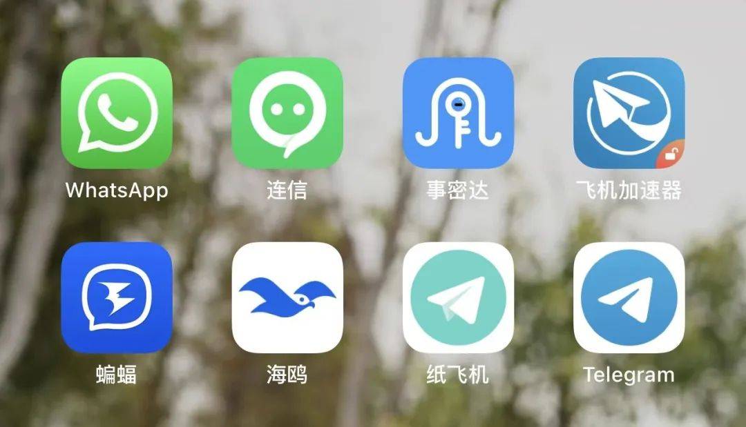 纸飞机账户购买,纸飞机账户购买链接