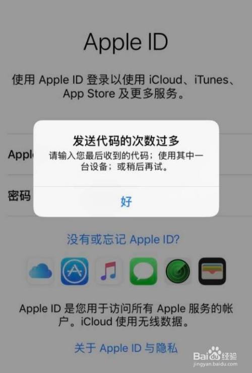 纸飞机网页版登陆收不到验证码,纸飞机app为什么我的手机号不发验证码