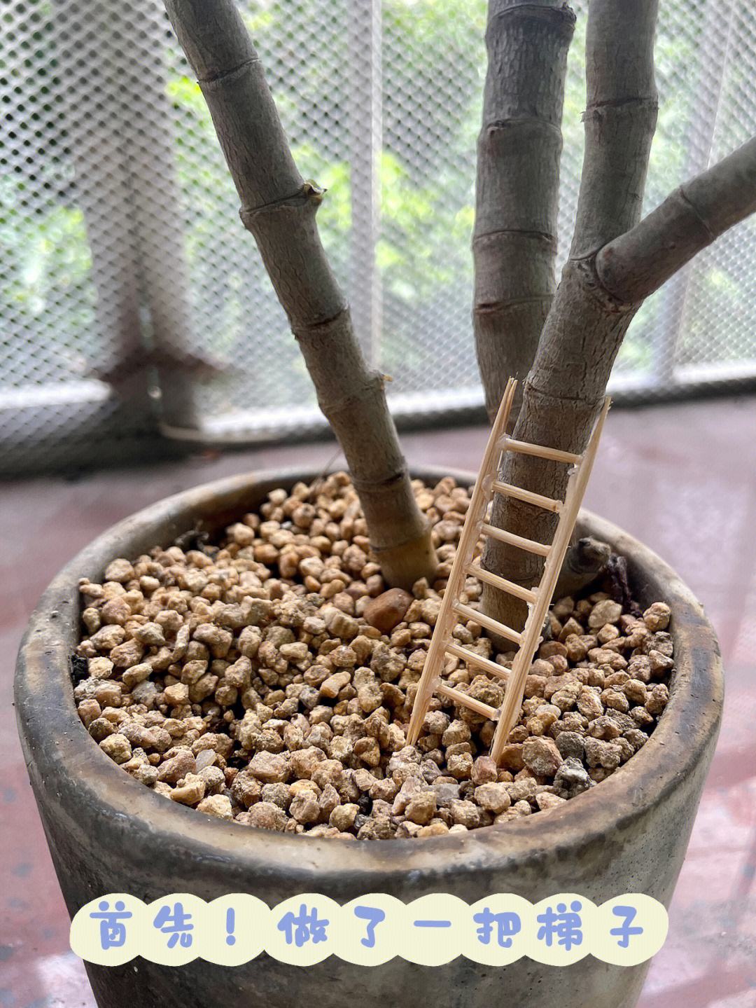 梯子吧百度贴吧，梯子吧百度贴吧官网