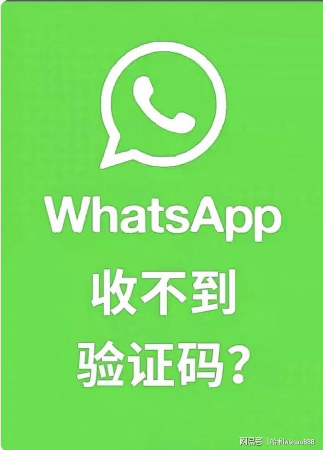 whatsapp注册收不到验证码，whatsapp注册账号收不到验证码怎么办